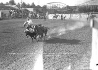 Lynn Huskey Bulldogging Memphis Fair & Rodeo