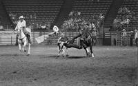 Butch Myers Steer wrestling