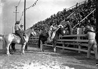 [Three unidentified Cowgirls on horses, one on Pinto taking her hat from a man in the grandstands]