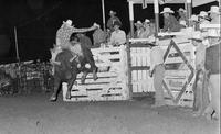 Randy Magers on Bull #14