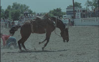 Jim Ferguson on Wagon Master  (High School)