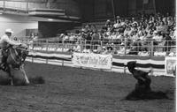 Buddy Lytle Calf roping