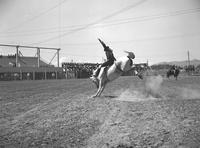 Phil Hathaway Bareback Riding