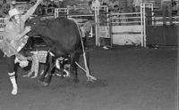 Rodeo clown Rob Smets Bull fighting with Bull #121