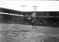 Gene Ross on "Guy" Wichita, Rodeo