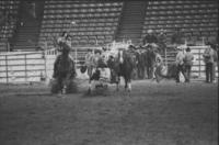 Allen Good Steer wrestling