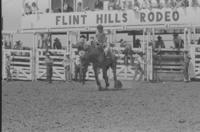 Amateur bronc rider John McDonald