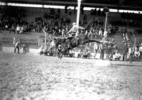 [Unidentified Cowboy riding bronc in front of partially filled grandstand]