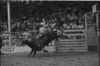 Mike Richard on Bull #154