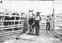 [Unidentified heavy set older cowboy and Pinto horse, pens and horses in background]