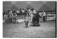 Joe Beaver Calf roping