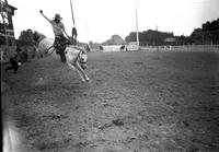 [Unidentified Cowboy maintains his ride as bronc goes airborne]