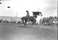 [Unidentified Cowboy riding bronc]