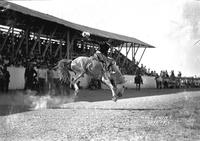 Jimmie Hagen on "Jimmie the Tough" Wolf Point Stampede