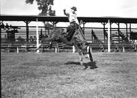 [Unidentified Cowboy on airborne bronc]