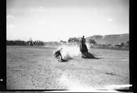 Hugh Ridley Calf Roping