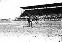 Happy Landing North Platte Rodeo