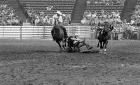 Bill Bassler Steer wrestling