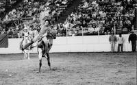 Colin Murnion on Strawberry