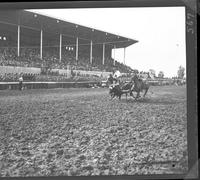 Bill Linderman Steer Wrestling