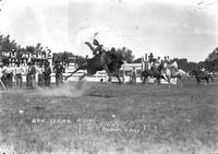 Ben Adams Riding Belle Fourche, No. Dak.