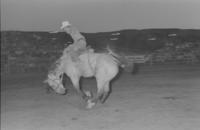 Unidentified bronc rider on unknown mount