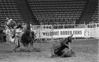 Darrell Lambert Calf roping