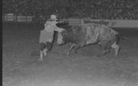 Rodeo clown Leon Coffee Bull fighting