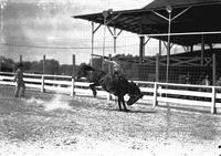 Ruth Wood on "Tommie Horner" JE Ranch Rodeo