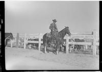 Andy Juaregui on Horse