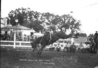 Vaughn Kreig on "Dare Devil" Springfield Rodeo