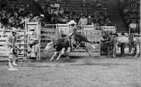 Bob Colacino on Bull #17