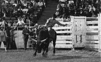 Marty Roberts on Ft. Worth
