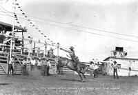 Scott Woman on "Iron Mountain" Dorchester Rodeo