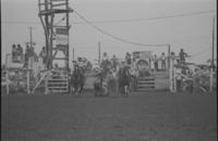 Chas. Lowry Steer wrestling