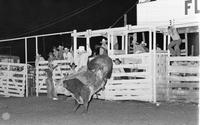 Hoss Narans on Bull #1