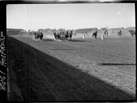 Chuck Wagon Race  (Spill)