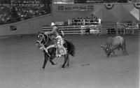 Rodeo clown Boo Klein Bull fighting