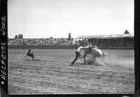 Roland Gridley Calf Roping