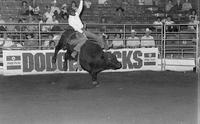 Abe Morris on Bull #71