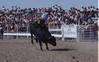 Ray Mac Knight on Buffalo