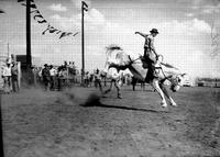 [Unidentified Cowboy riding bronc]