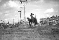 [Unidentified Cowboy riding bareback bronc]