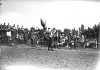 [Unidentified cowboy leaving bronc]