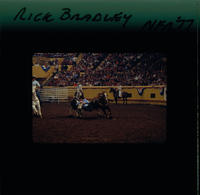 Rick Bradley Steer wrestling