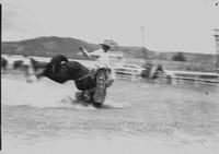 Jimmie Light Takes Bad Header From "Dark Alley" Kit Carson Roundup, Trinidad