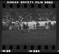 Jimmie Cooper Calf roping