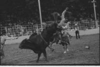 Van Hale on Bull #8