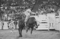 Gary Gault on Boomerang