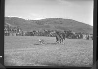 Barney Allison Calf Roping